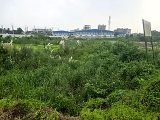 Open green land with factory buildings on the horizon, photographed on a site visit